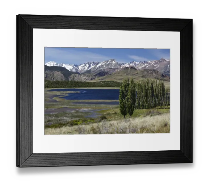 Framed Print : Poplars, the Chilean Andes at the back, on the Rio Chacabuco river, Cochrane, Region de Aysen, Patagonia, Chile, South America, America Framed Print : Poplars, the Chilean Andes at the back, on the Rio Chacabuco river, Cochrane, Region de Aysen, Patagonia, Chile, South America, America