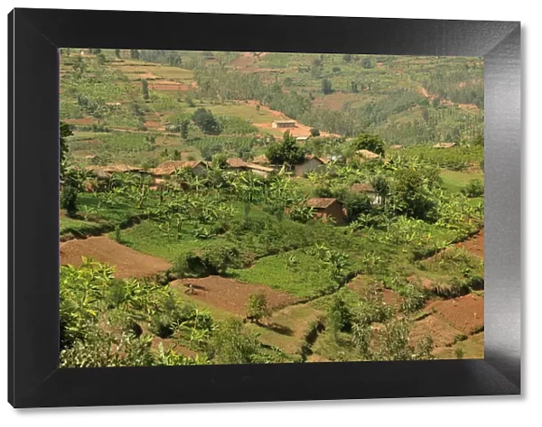 Typical hilly landscape near Busengo, Rwanda, Africa