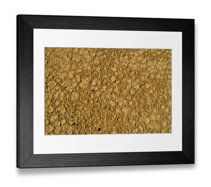Framed Print : Salt flat, Kalahari Desert, Northern Cape, South Africa, Africa Framed Print : Salt flat, Kalahari Desert, Northern Cape, South Africa, Africa