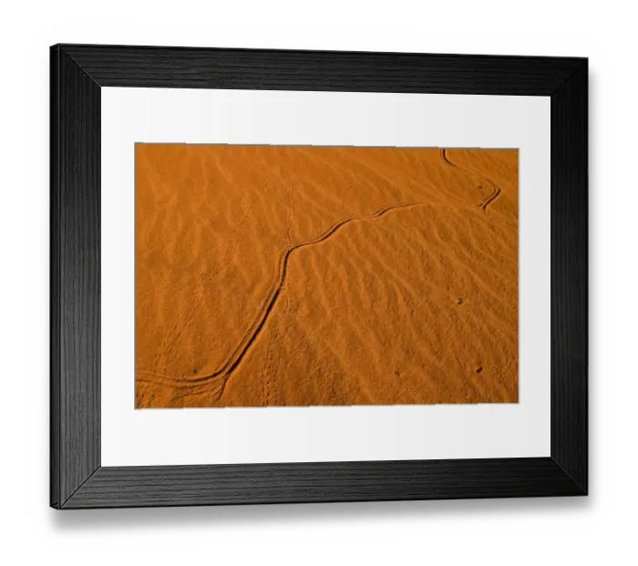 Framed Print : Red dunes, Kgalagadi Transfrontier Park, Kalahari Desert, Northern Cape, South Africa, Africa Framed Print : Red dunes, Kgalagadi Transfrontier Park, Kalahari Desert, Northern Cape, South Africa, Africa