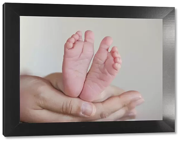 Baby feet held in the hands of an adult