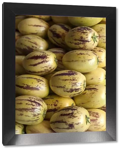 Pepino Dulce or Melon Pear -Solanum muricatum-
