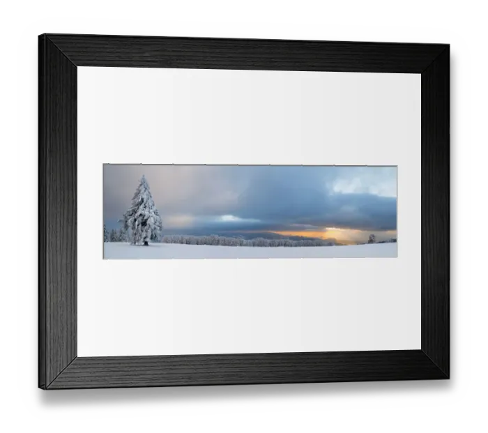 Framed Print : Black Forest spruce at dusk on the wintry Mt Kandel near Freiburg in the Black Forest, Baden-Wuerttemberg, Germany, Europe Framed Print : Black Forest spruce at dusk on the wintry Mt Kandel near Freiburg in the Black Forest, Baden-Wuerttemberg, Germany, Europe