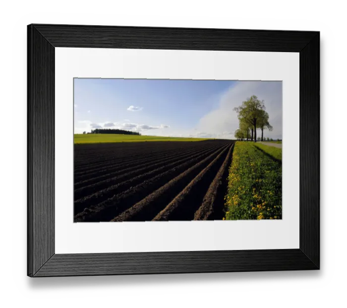 Framed Print : Landscape, plowed field, in between flower meadows, Buchbach, Waldviertel region, Lower Austria, Austria, Europe