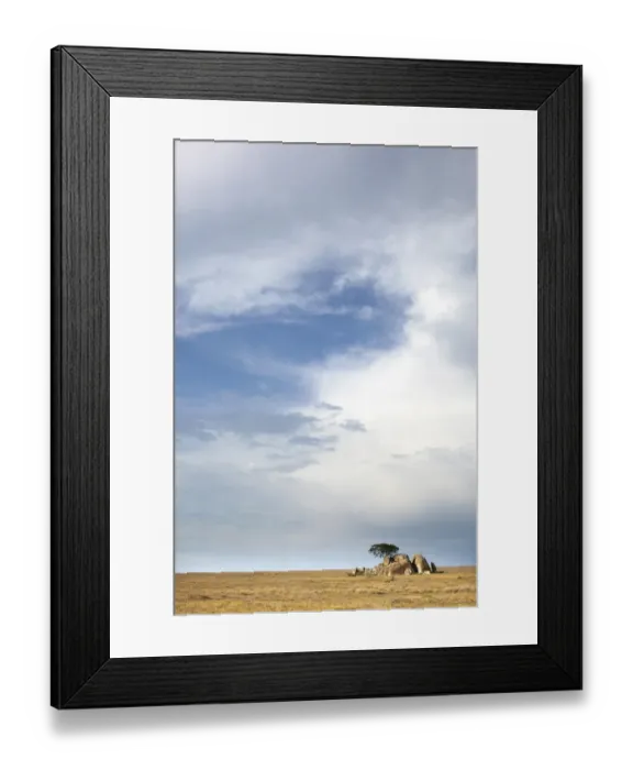 Framed Print : Serengeti landscape, Tanzania, Africa Framed Print : Serengeti landscape, Tanzania, Africa
