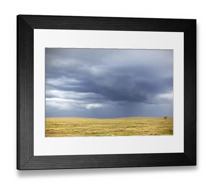Framed Print : Dramatic clouds over the Serengeti, Tanzania, Africa Framed Print : Dramatic clouds over the Serengeti, Tanzania, Africa