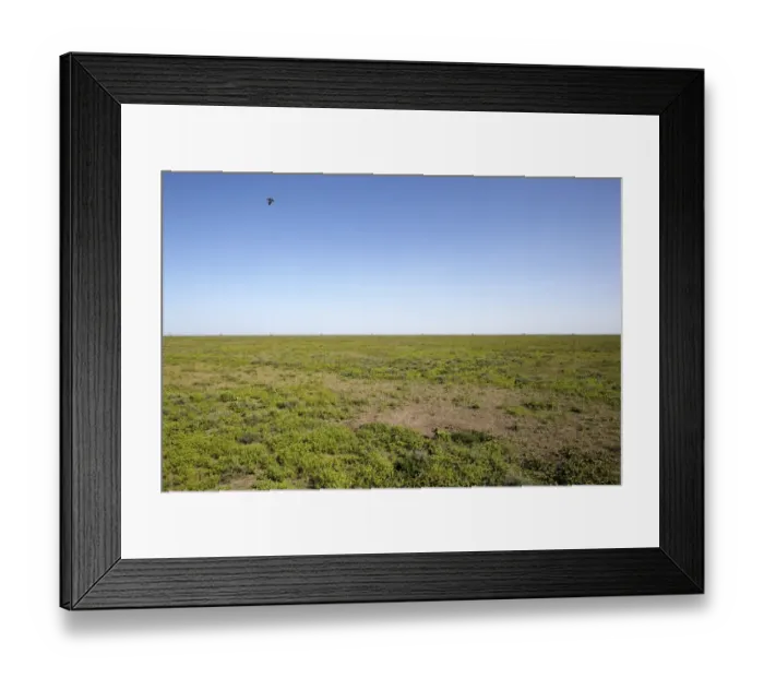 Framed Print : Serengeti, Tanzania, Africa Framed Print : Serengeti, Tanzania, Africa