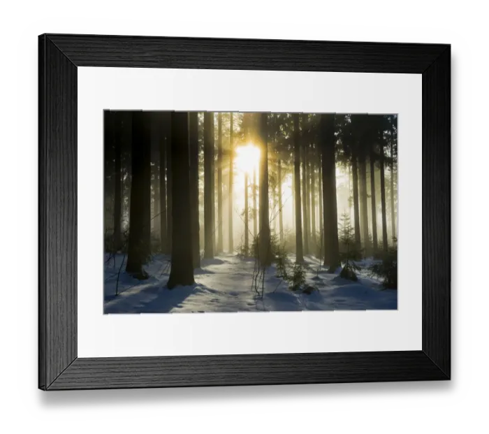 Framed Print : Snow-covered pine forest with sun, Black Forest, Baden-Wuerttemberg, Germany, Europe Framed Print : Snow-covered pine forest with sun, Black Forest, Baden-Wuerttemberg, Germany, Europe