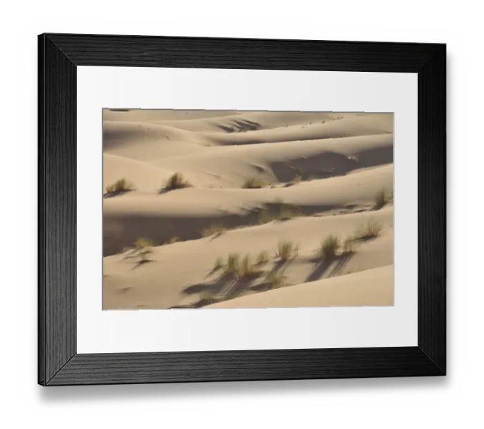 Framed Print : Desert, sand dune of Erg Chebbi, Morocco, Africa Framed Print : Desert, sand dune of Erg Chebbi, Morocco, Africa