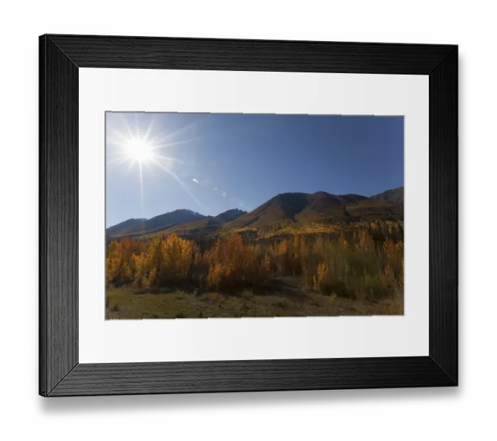 Framed Print : Haines Road towards Haines Pass, Alaska, Indian Summer, fall, autumn, St. Elias Mountains behind, Kluane National Park and Reserve, Yukon Territory, Canada Framed Print : Haines Road towards Haines Pass, Alaska, Indian Summer, fall, autumn, St. Elias Mountains behind, Kluane National Park and Reserve, Yukon Territory, Canada