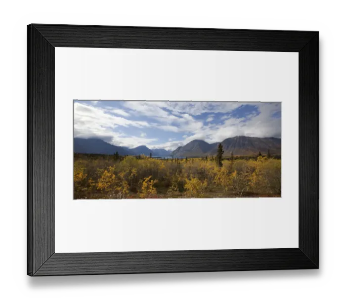 Framed Print : Indian Summer, fall colours, autumn, Kathleen Lake, St. Elias Mountains, Kluane National Park and Reserve, Yukon Territory, Canada Framed Print : Indian Summer, fall colours, autumn, Kathleen Lake, St. Elias Mountains, Kluane National Park and Reserve, Yukon Territory, Canada