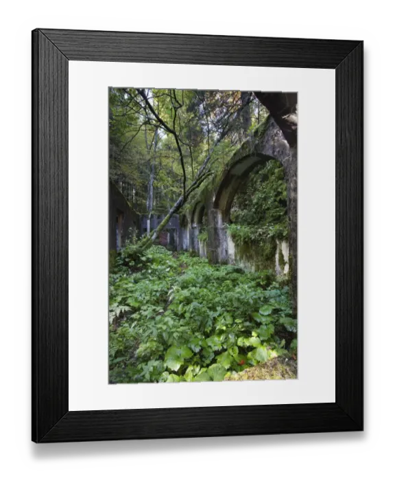 Framed Print : Commando Austriaco, ruined shelter of World War I, Folgaria, province of Trentino, Italy, Europe Framed Print : Commando Austriaco, ruined shelter of World War I, Folgaria, province of Trentino, Italy, Europe