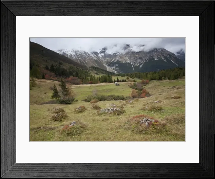 Framed Print : Steineralm alpine pasture, Obernberg, Tyrol, Austria, Europe Framed Print : Steineralm alpine pasture, Obernberg, Tyrol, Austria, Europe