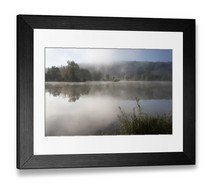 Framed Print : Tree in fog in the backwaters of the Danube River, Stepperg, Bavaria, Germany, Europe Framed Print : Tree in fog in the backwaters of the Danube River, Stepperg, Bavaria, Germany, Europe