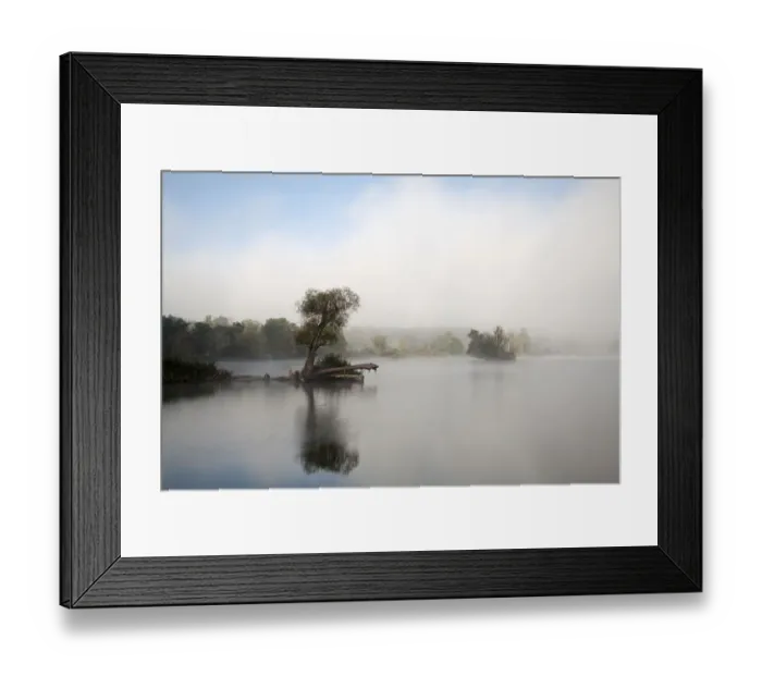 Framed Print : Tree in fog in the backwaters of the Danube River, Stepperg, Bavaria, Germany, Europe Framed Print : Tree in fog in the backwaters of the Danube River, Stepperg, Bavaria, Germany, Europe