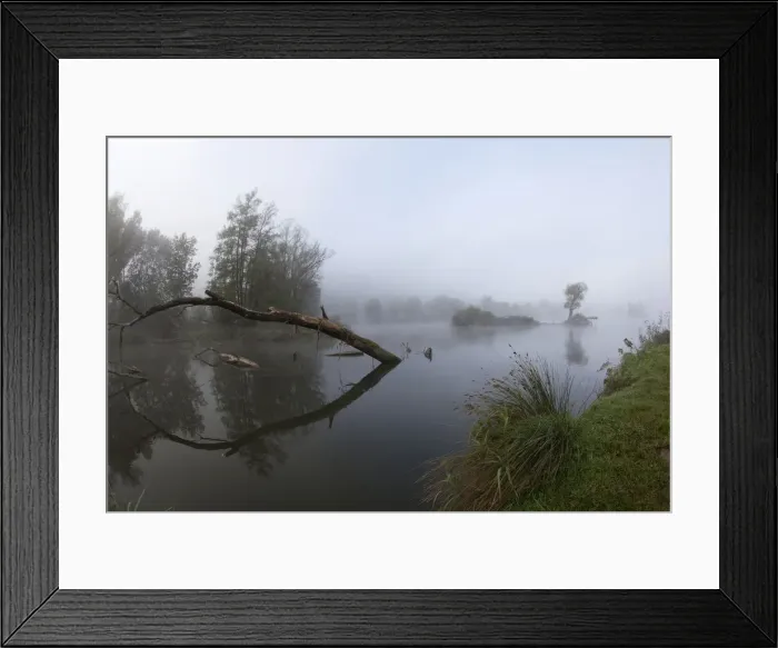 Framed Print : Tree in fog in the backwaters of the Danube River, Stepperg, Bavaria, Germany, Europe Framed Print : Tree in fog in the backwaters of the Danube River, Stepperg, Bavaria, Germany, Europe