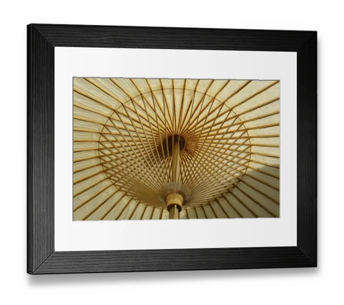 Framed Print : Oil-paper umbrella, drying after rain during the Matsuri festival, Shimogamo Shrine, Kyoto, Japan, Asia Framed Print : Oil-paper umbrella, drying after rain during the Matsuri festival, Shimogamo Shrine, Kyoto, Japan, Asia