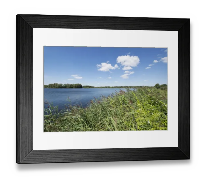 Framed Print : Pond landscape, Meissendorf Lakes Nature Reserve, Meissendorf, Lower Saxony, Germany