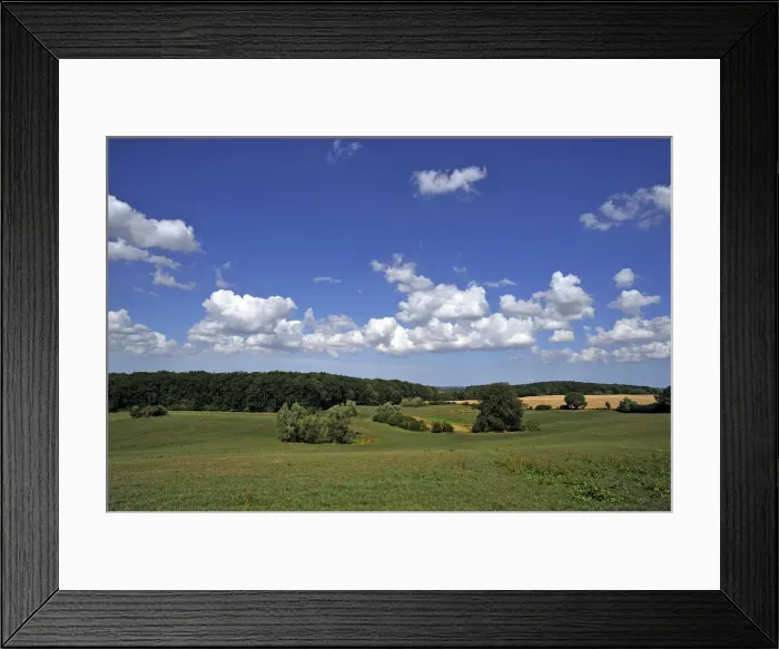 Framed Print : Woodland and grassland with cloudy sky, Othenstorf, Mecklenburg-Western Pomerania, Germany Framed Print : Woodland and grassland with cloudy sky, Othenstorf, Mecklenburg-Western Pomerania, Germany
