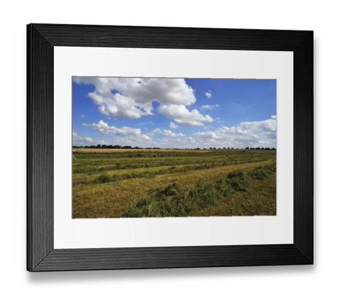 Framed Print : Swathed hay, cloudy sky with cumulus clouds, Gross Runz, Mecklenburg-Western Pomerania, Germany Framed Print : Swathed hay, cloudy sky with cumulus clouds, Gross Runz, Mecklenburg-Western Pomerania, Germany