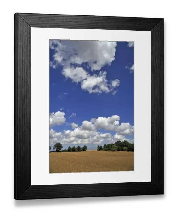 Framed Print : Mecklenburg agricultural landscape with cumulus clouds, Othenstorf, Mecklenburg-Western Pomerania, Germany