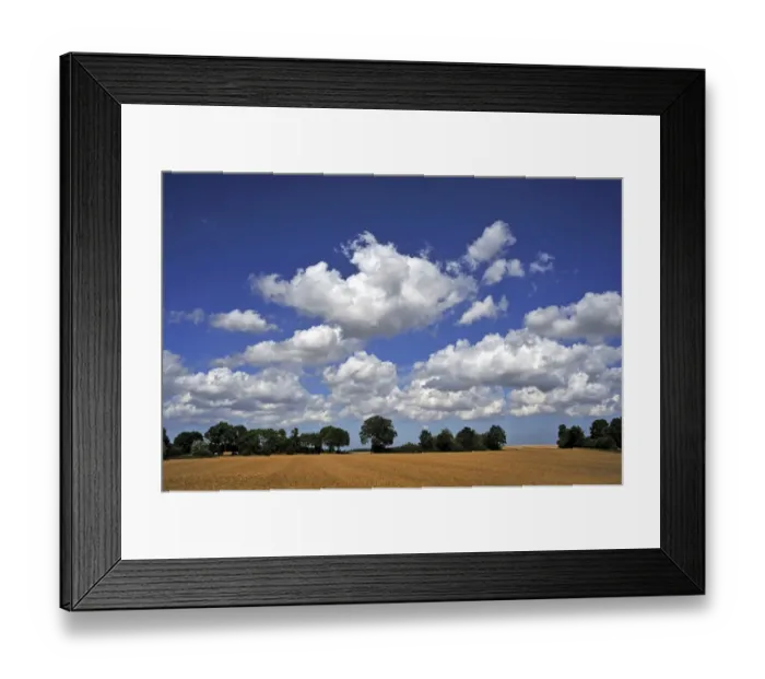 Framed Print : Arable field and a row of trees with cumulus clouds, Othenstorf, Mecklenburg-Western Pomerania, Germany Framed Print : Arable field and a row of trees with cumulus clouds, Othenstorf, Mecklenburg-Western Pomerania, Germany