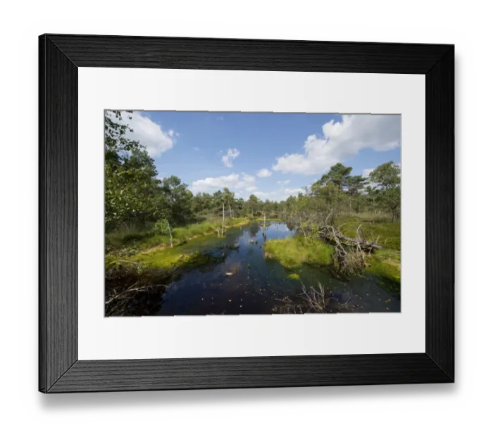 Framed Print : Pietzmoor, Luneburg Heath Nature Reserve, Schneverdingen, Lower Saxony, Germany Framed Print : Pietzmoor, Luneburg Heath Nature Reserve, Schneverdingen, Lower Saxony, Germany