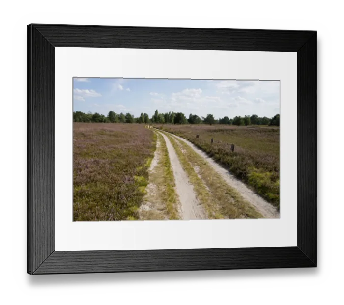 Framed Print : Path through heathland, Schneverdingen, Lower Saxony, Germany Framed Print : Path through heathland, Schneverdingen, Lower Saxony, Germany