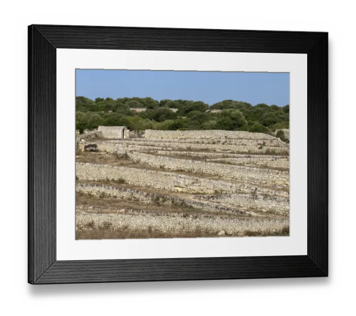 Framed Print : Dry stone walls, natural stone, Es Migjorn Gran, Minorca, Balearic Islands, Spain Framed Print : Dry stone walls, natural stone, Es Migjorn Gran, Minorca, Balearic Islands, Spain