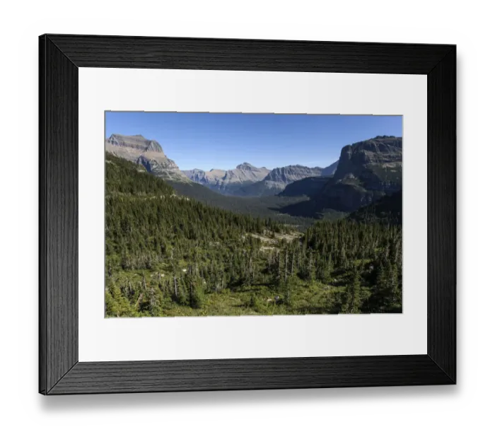 Framed Print : Forest and mountains in Glacier National Park, Montana, United States