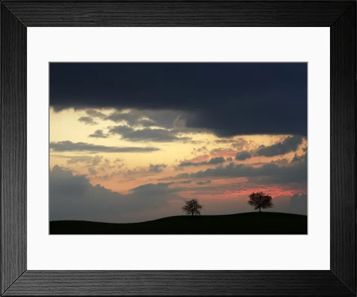 Framed Print : Trees silhouetted against a sky full of storm clouds, Hirzel, Canton of Zurich, Switzerland Framed Print : Trees silhouetted against a sky full of storm clouds, Hirzel, Canton of Zurich, Switzerland