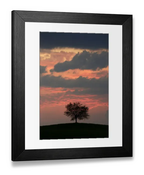 Framed Print : Tree silhouetted against a sky full of storm clouds, Hirzel, Canton of Zurich, Switzerland Framed Print : Tree silhouetted against a sky full of storm clouds, Hirzel, Canton of Zurich, Switzerland
