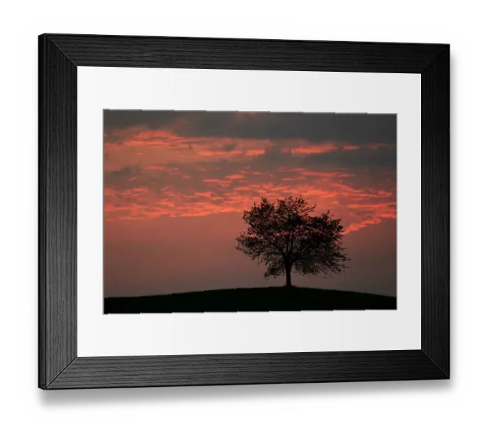 Framed Print : Tree silhouetted against a sky full of storm clouds, Hirzel, Canton of Zurich, Switzerland Framed Print : Tree silhouetted against a sky full of storm clouds, Hirzel, Canton of Zurich, Switzerland
