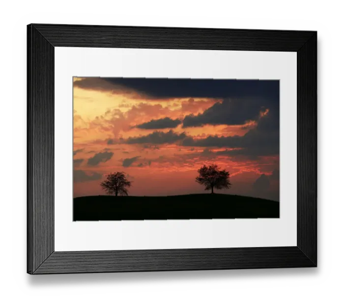 Framed Print : Trees silhouetted against a sky full of storm clouds, Hirzel, Canton of Zurich, Switzerland Framed Print : Trees silhouetted against a sky full of storm clouds, Hirzel, Canton of Zurich, Switzerland