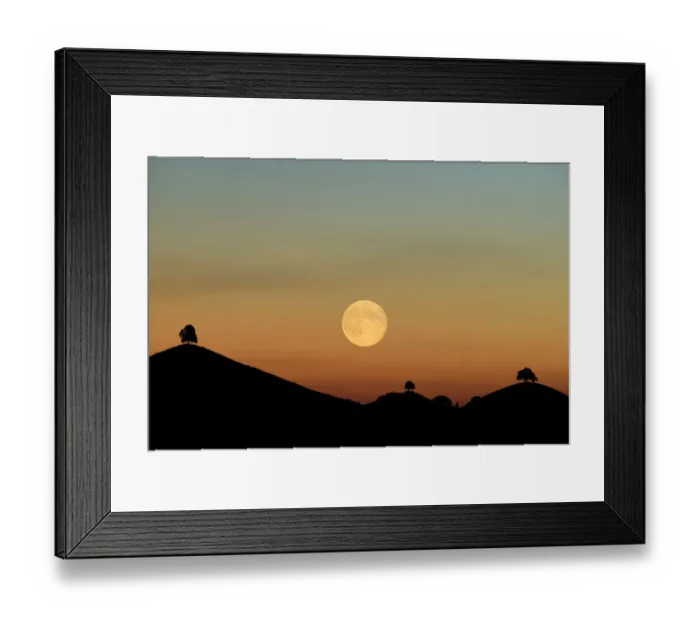 Framed Print : Double exposure, full moon before sunset with trees on moraine hill, Hirzel, Canton of Zurich, Switzerland Framed Print : Double exposure, full moon before sunset with trees on moraine hill, Hirzel, Canton of Zurich, Switzerland