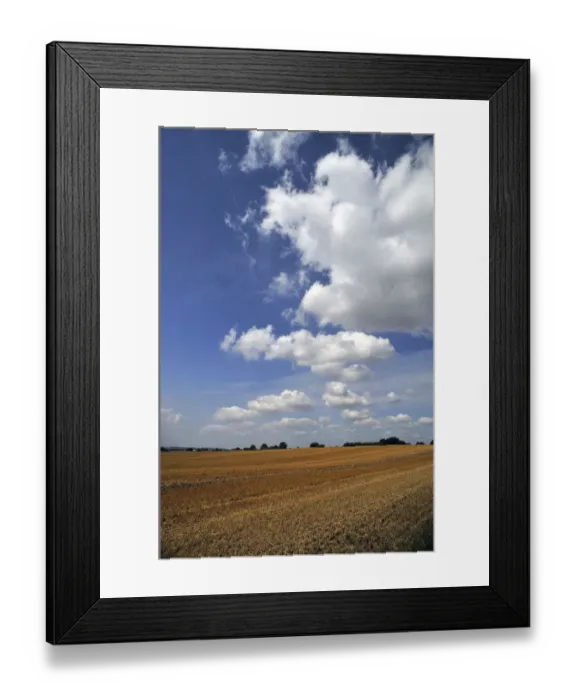 Framed Print : Large harvested wheat field with a cloudy sky, Othenstorf, Mecklenburg-Western Pomerania, Germany Framed Print : Large harvested wheat field with a cloudy sky, Othenstorf, Mecklenburg-Western Pomerania, Germany