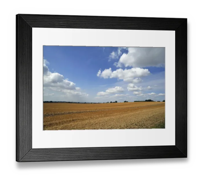 Framed Print : Large harvested wheat field with a cloudy sky, Othenstorf, Mecklenburg-Western Pomerania, Germany Framed Print : Large harvested wheat field with a cloudy sky, Othenstorf, Mecklenburg-Western Pomerania, Germany