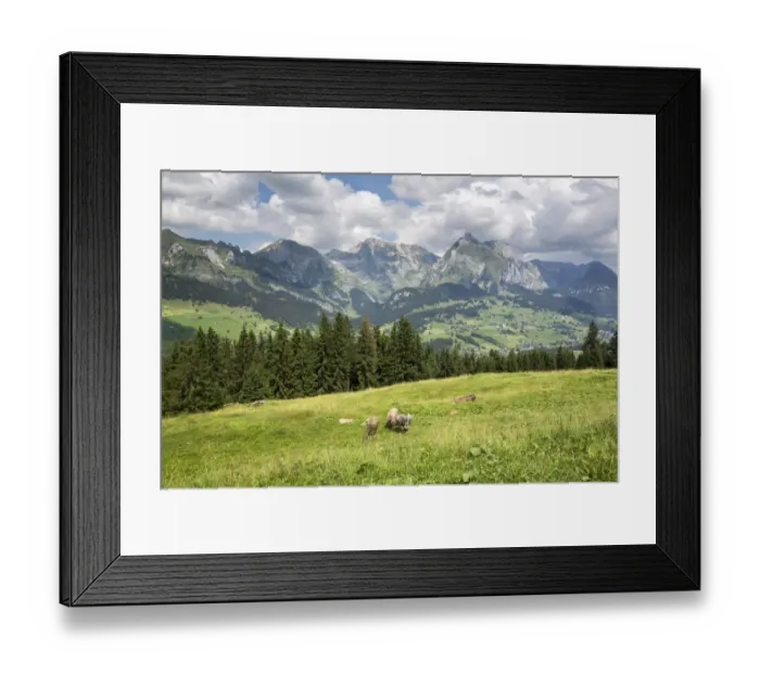 Framed Print : View from Klangweg or Sound Trail on Toggenburg Mountain towards the Alpstein Mountains with Saentis Mountain, Wildhaus, Canton of St. Gallen, Switzerland