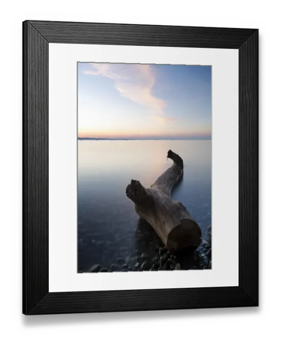 Framed Print : Driftwood on the shore of Lake Constance, morning mood, Lake Constance, Konstanz, Baden-Wurttemberg, Germany