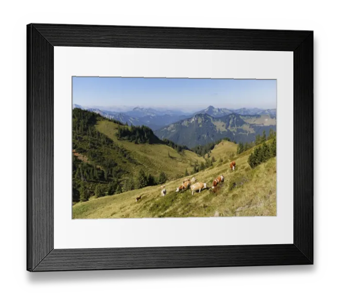 Framed Print : Wallenburg alpine pasture at Mt Croda Rossa or Rotwand, Mt Risserkogel on the right at the back, Spitzingsee lake area, Mangfall mountains, Upper Bavaria, Bavaria, Germany Framed Print : Wallenburg alpine pasture at Mt Croda Rossa or Rotwand, Mt Risserkogel on the right at the back, Spitzingsee lake area, Mangfall mountains, Upper Bavaria, Bavaria, Germany