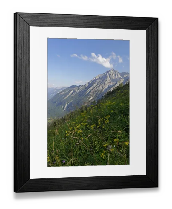 Framed Print : Route to Purtscheller House on Hohen Goll Mountain, with the Salzach Valley, Berchtesgadener Land district, Upper Bavaria, Bavaria, Germany Framed Print : Route to Purtscheller House on Hohen Goll Mountain, with the Salzach Valley, Berchtesgadener Land district, Upper Bavaria, Bavaria, Germany