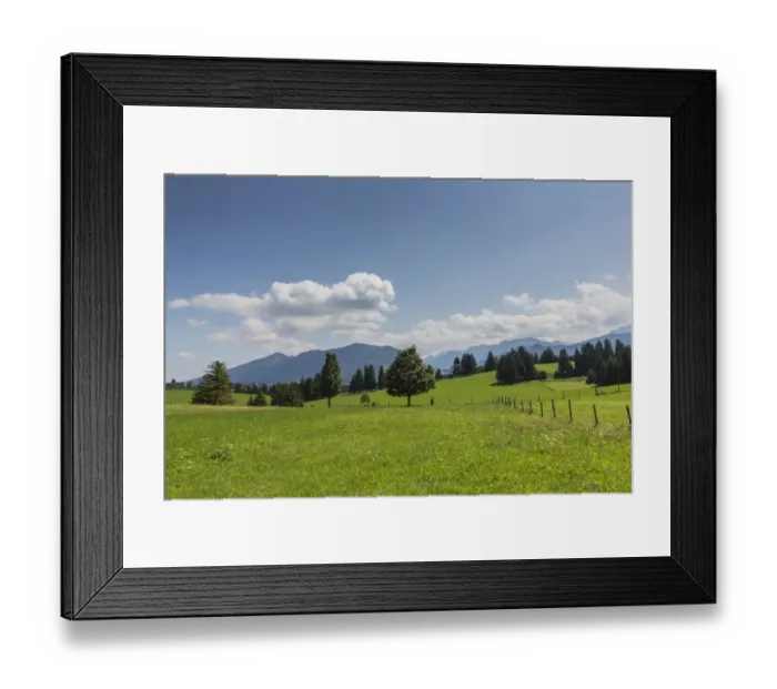 Framed Print : Cultivated landscape, Oberammergau Alps at the back, near Buching, Halblech, Allgau, Ostallgau, Bavaria, Germany Framed Print : Cultivated landscape, Oberammergau Alps at the back, near Buching, Halblech, Allgau, Ostallgau, Bavaria, Germany