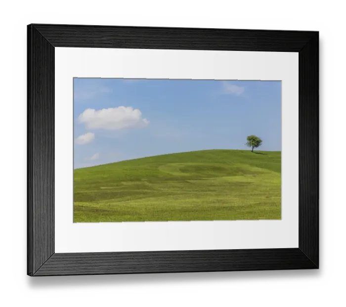 Framed Print : Meadow with solitary tree, cultural landscape, in Buching, Halblech, Allgau, Bavaria, Germany