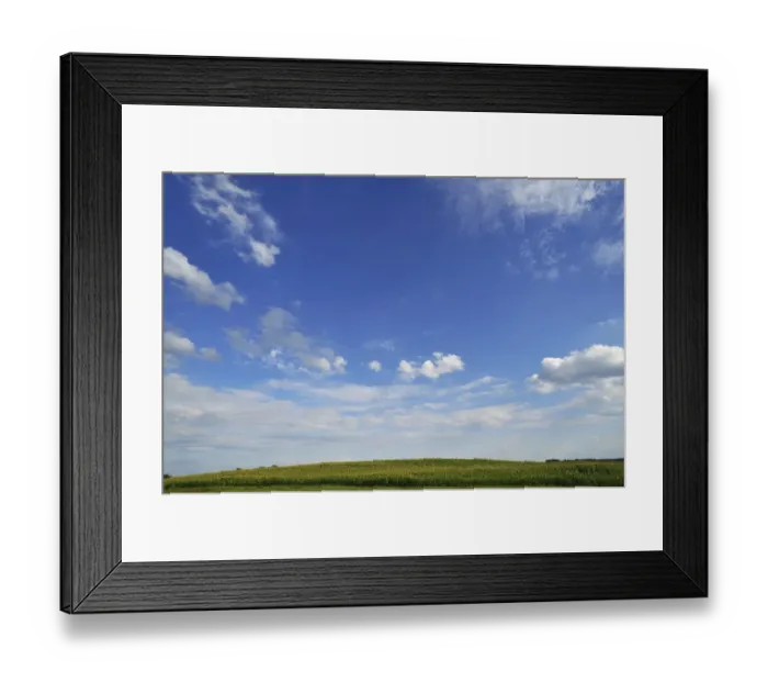 Framed Print : Ripe maize field -Zea mays- in summer, Bavaria, Germany