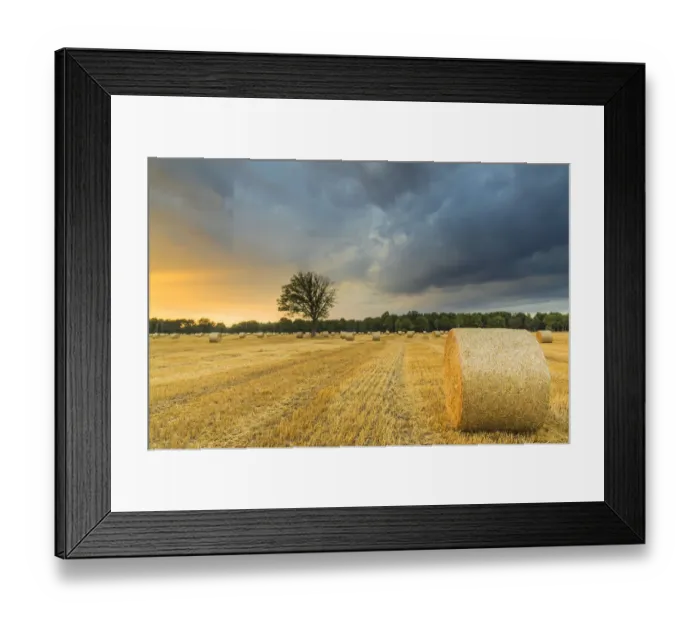 Framed Print : Straw harvest, round bales, Duden-Rodenbostel, Lower Saxony, Germany Framed Print : Straw harvest, round bales, Duden-Rodenbostel, Lower Saxony, Germany