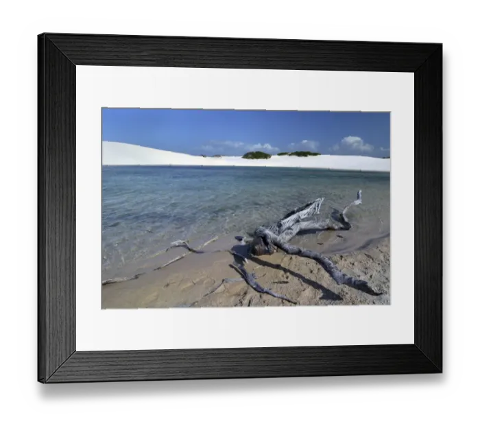 Framed Print : Freshwater lagoon, Parque Nacional dos Lencois Maranhenses or Lencois Maranhenses National Park, Maranhao, Brazil Framed Print : Freshwater lagoon, Parque Nacional dos Lencois Maranhenses or Lencois Maranhenses National Park, Maranhao, Brazil