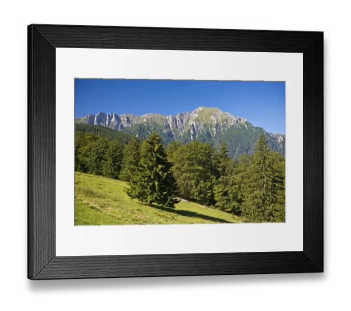 Framed Print : Mountain meadow with the Bucegi Mountains, Carpathians, Predeal, Romania Framed Print : Mountain meadow with the Bucegi Mountains, Carpathians, Predeal, Romania