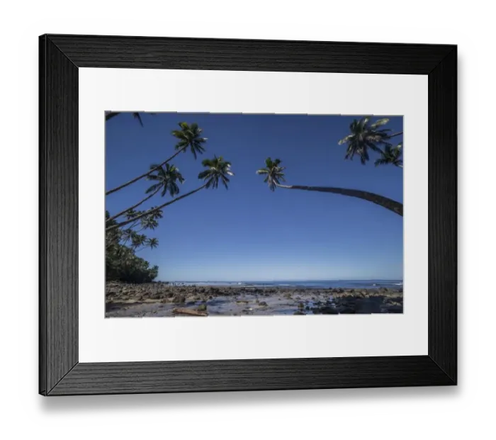 Framed Print : Palm trees on the beach of Lavena, Taveuni, Fiji Framed Print : Palm trees on the beach of Lavena, Taveuni, Fiji