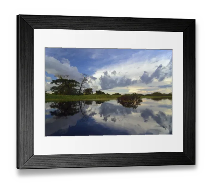 Framed Print : Dusk at a lake-like widened part of the Amazon or Rio Solimoes, Mamiraua Sustainable Development Reserve, Manaus, Amazonas, Brazil Framed Print : Dusk at a lake-like widened part of the Amazon or Rio Solimoes, Mamiraua Sustainable Development Reserve, Manaus, Amazonas, Brazil