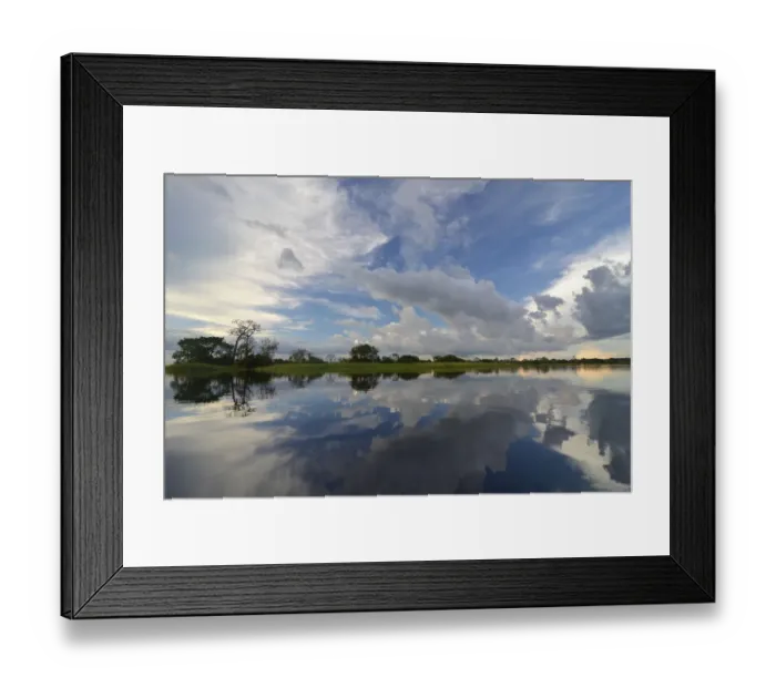 Framed Print : Evening at a widened part of the Amazon or Rio Solimoes, Mamiraua Sustainable Development Reserve, near Manaus, Amazonas State, Brazil Framed Print : Evening at a widened part of the Amazon or Rio Solimoes, Mamiraua Sustainable Development Reserve, near Manaus, Amazonas State, Brazil